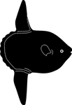 海洋生物系列 海鱼