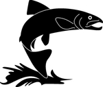 海洋生物系列 海鱼