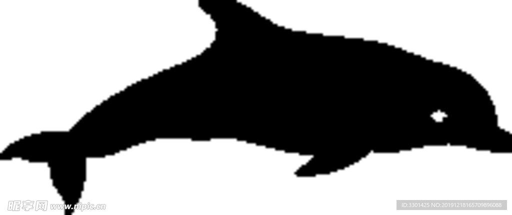 海洋生物系列 海豚