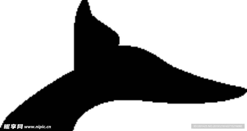 海洋生物系列 鲸鱼尾巴