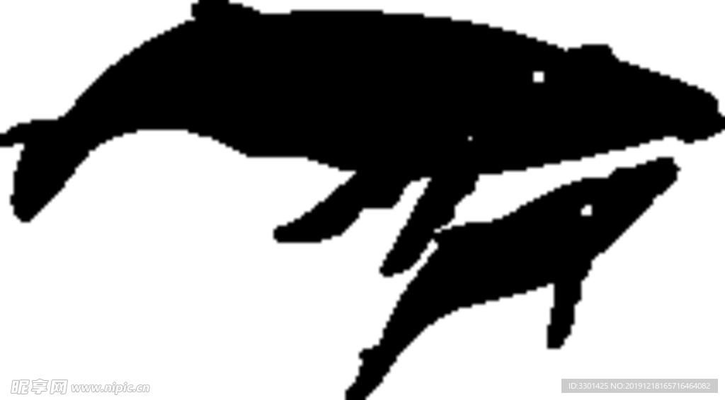 海洋生物系列 座头鲸