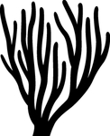 海洋生物系列 珊瑚 矢量图 动
