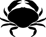 海洋生物系列 螃蟹