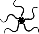 奇异海洋生物