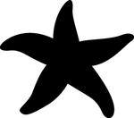 海洋生物系列 海星