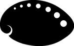 海洋生物系列 贝壳