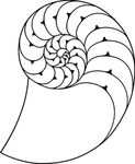 海洋生物系列 海螺