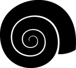 海洋生物系列 海螺