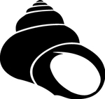 海洋生物系列 海螺