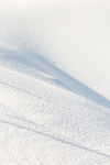 雪地