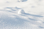 雪地