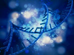 基因链DNA