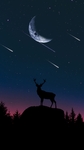 彩色动物插画夜色风景