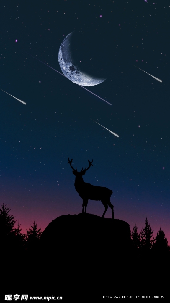 彩色动物插画夜色风景