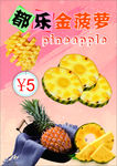 都乐金菠萝海报