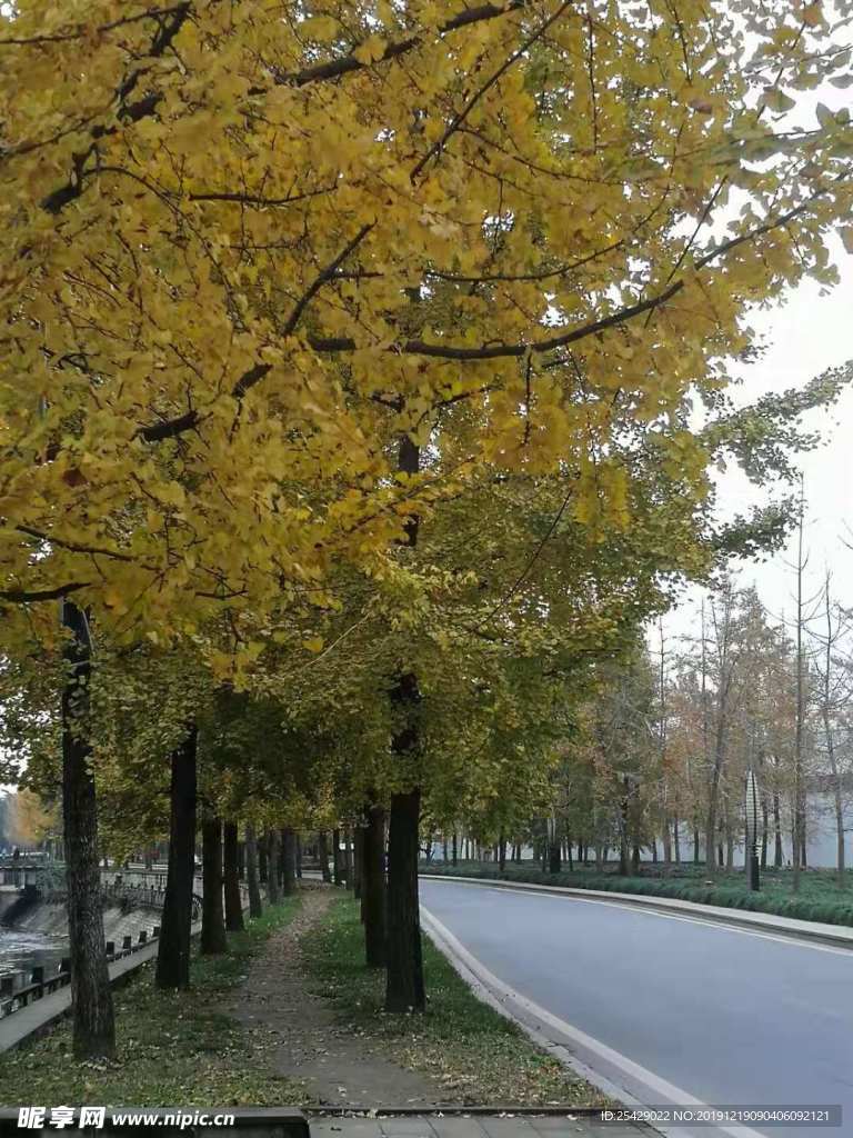街景