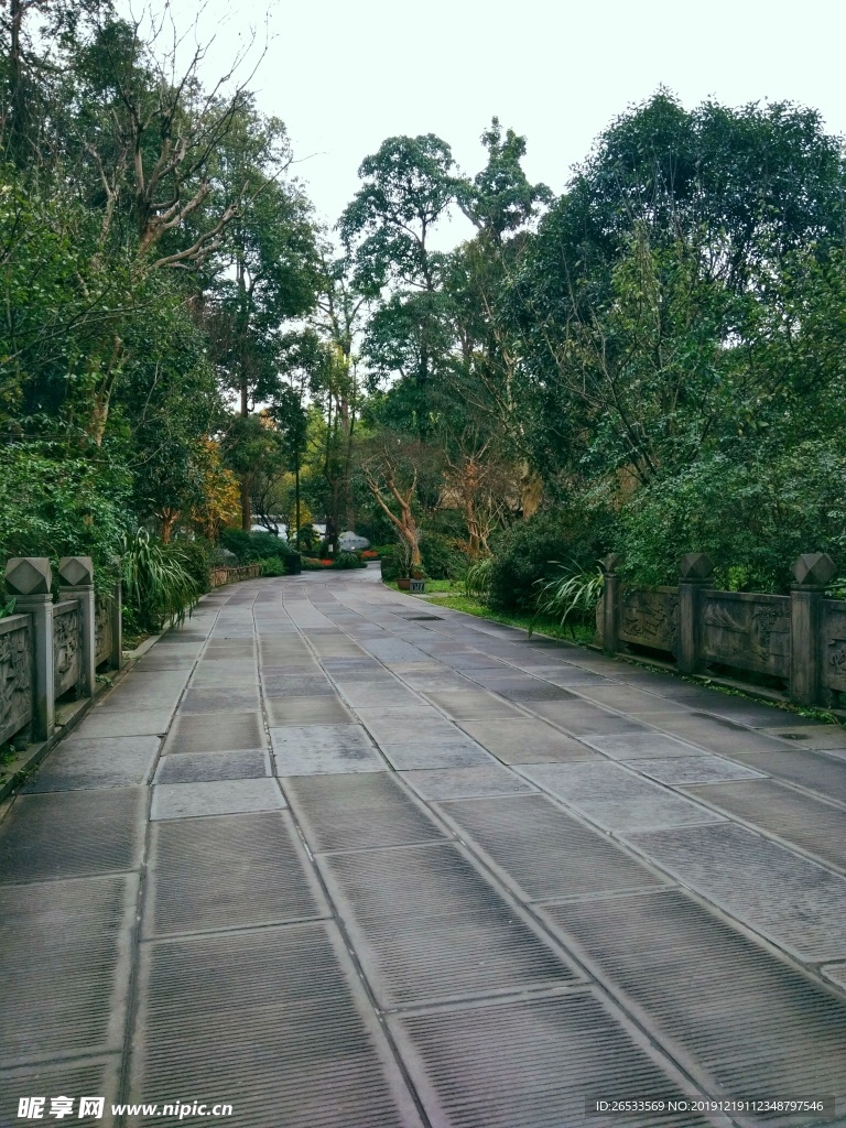 公园石板路 树 道路 砖头 路