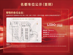 房地产车位公示