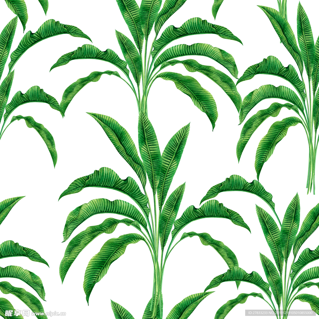 热带  植物数码 印花 图案