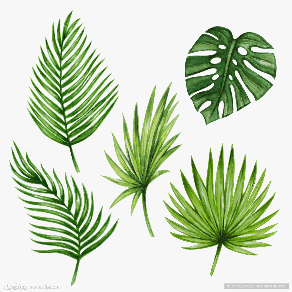 热带  植物数码 印花 图案