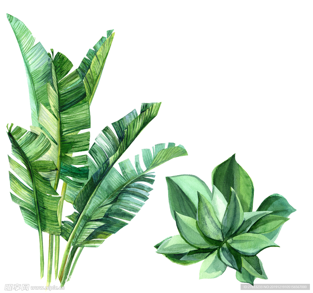 热带  植物数码 印花 图案