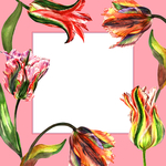 手绘花卉