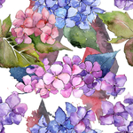 手绘花卉