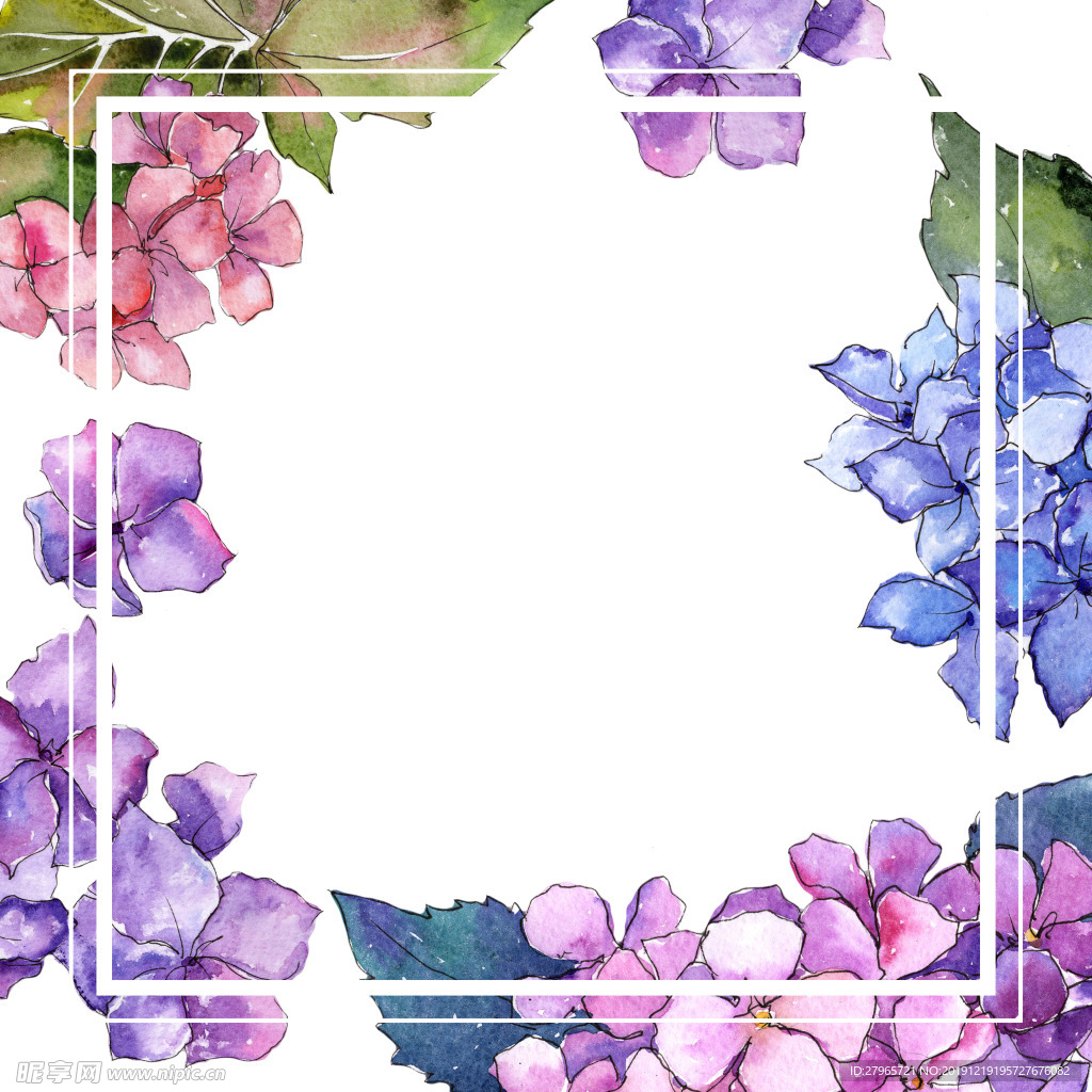 手绘花卉