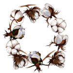 棉花壳