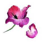 手绘花卉