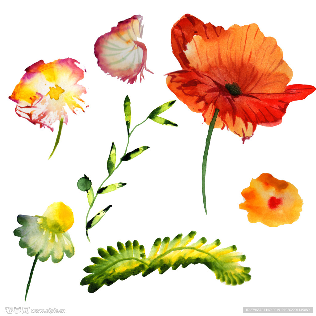 手绘花卉