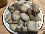 蘑菇