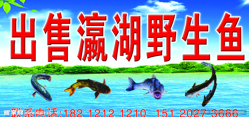 出售野生鱼