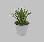 芦荟盆栽3d模型