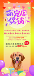 萌宠