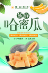 密瓜海报