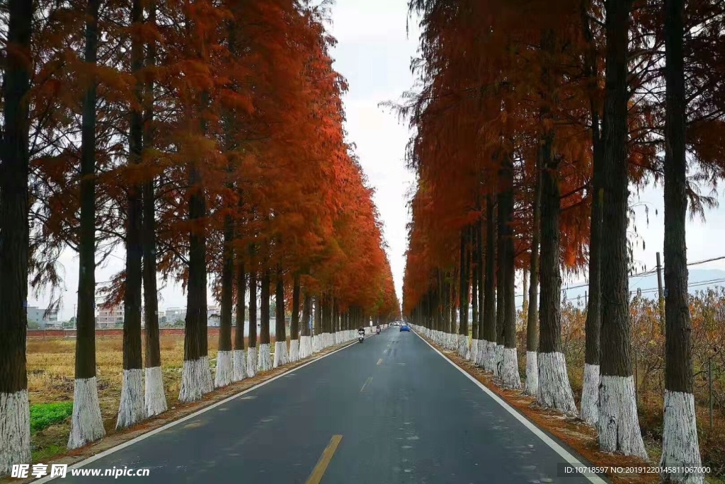 自然景观