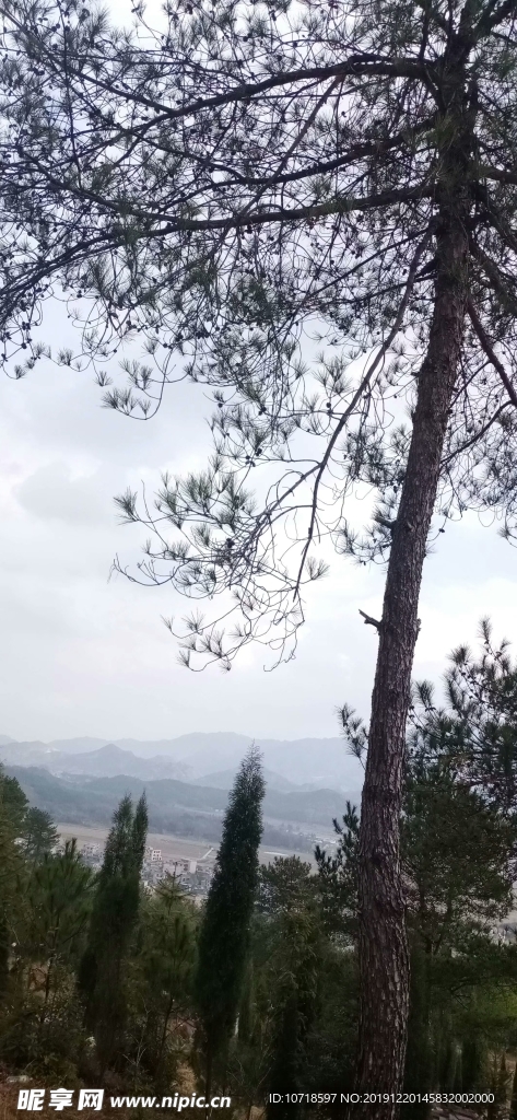 自然景观