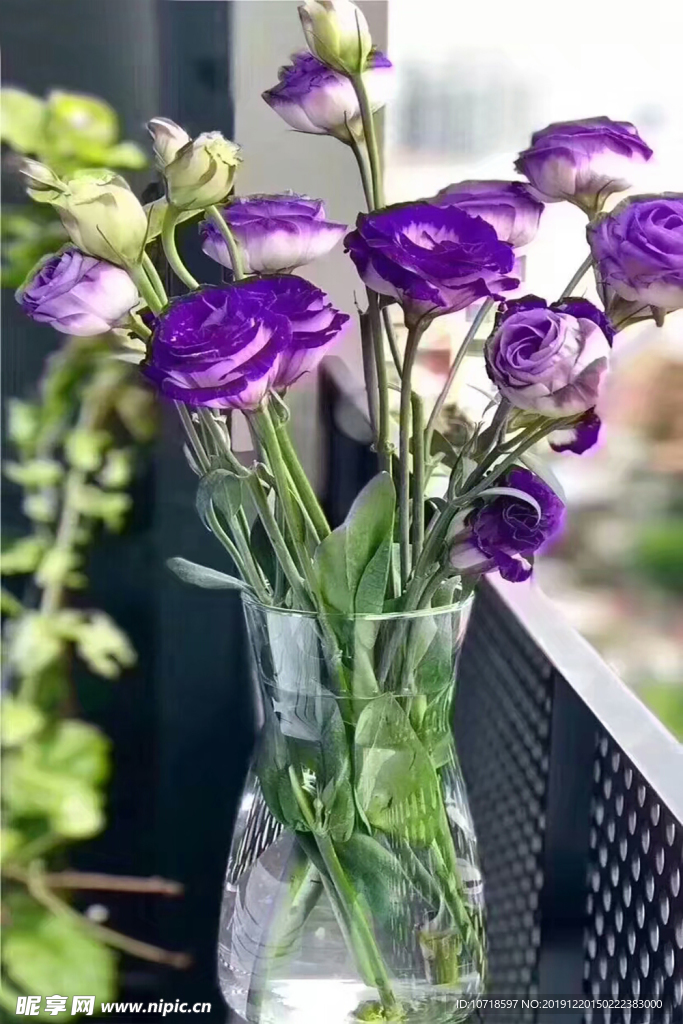 鲜花