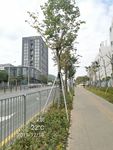 自然景观