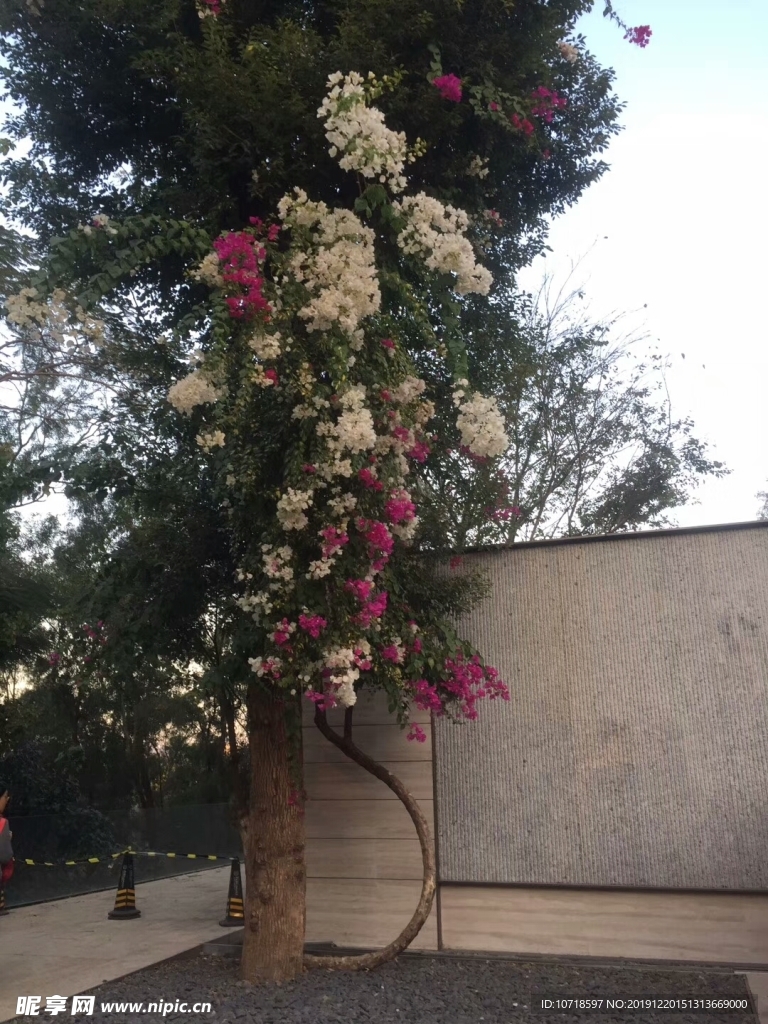 自然景观