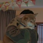 小狗