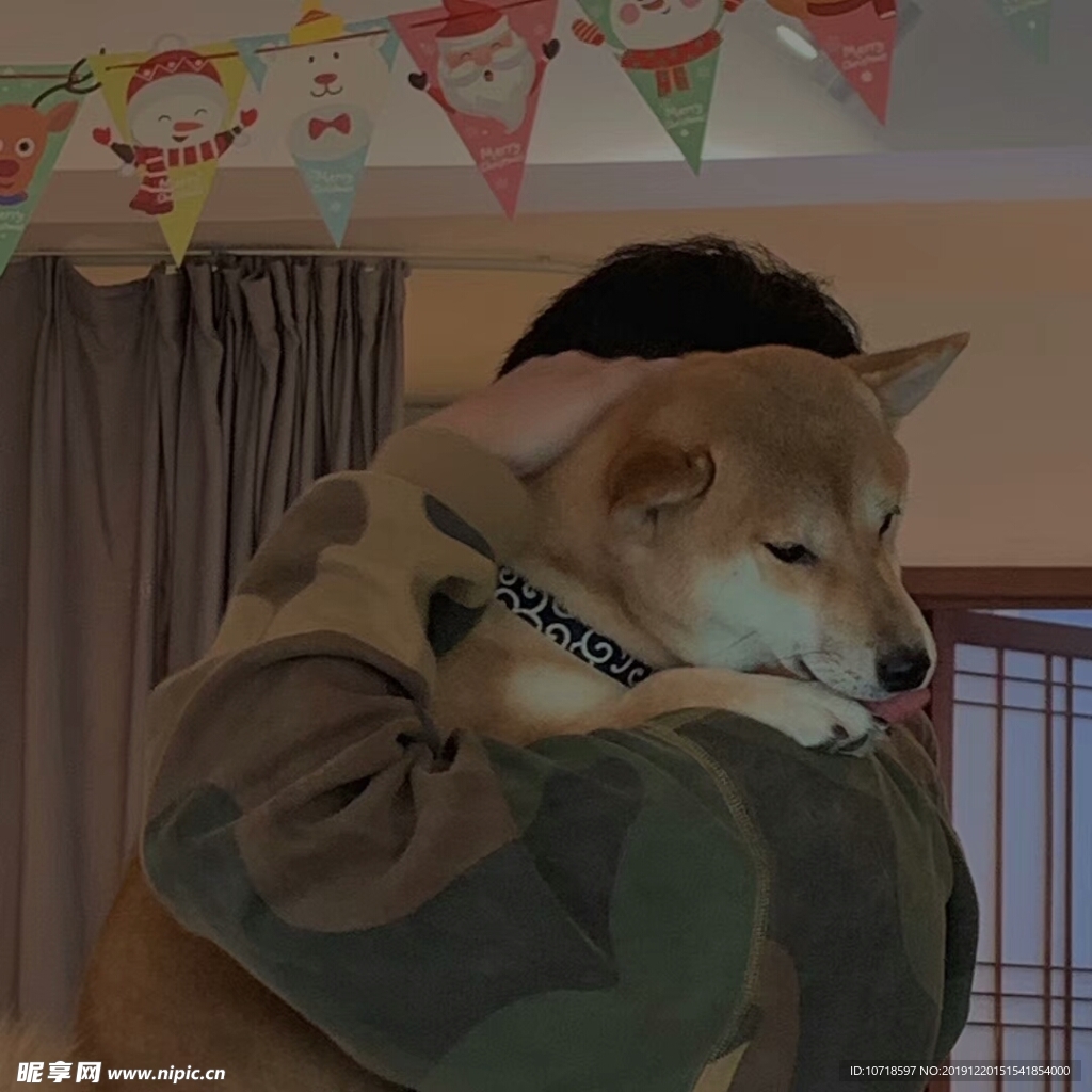 小狗