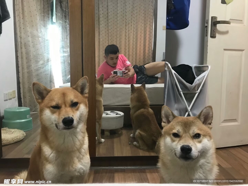 小狗
