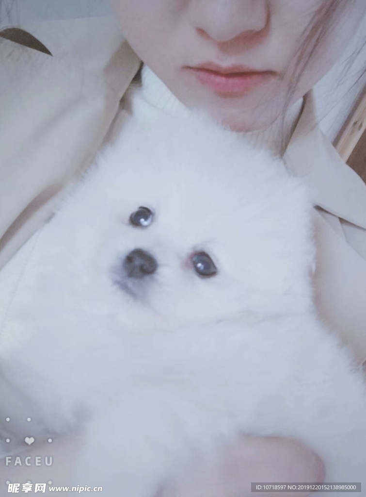 小狗