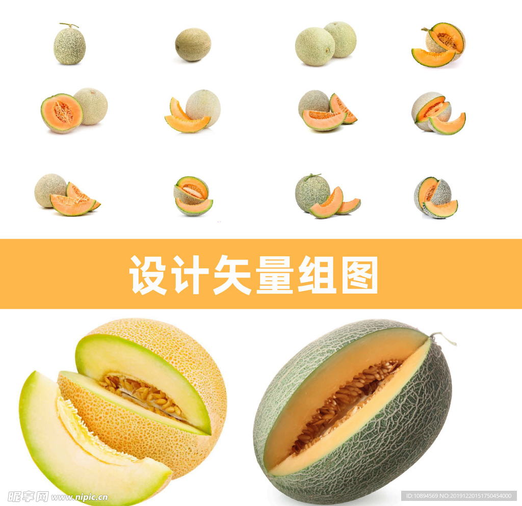 哈密瓜矢量
