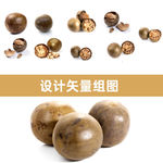 罗汉果矢量