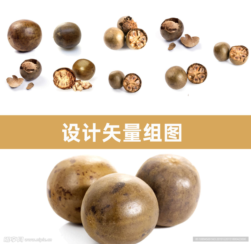 罗汉果矢量