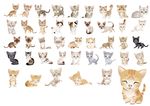 矢量猫