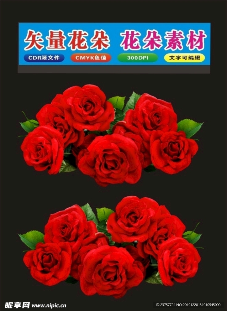 花朵红色